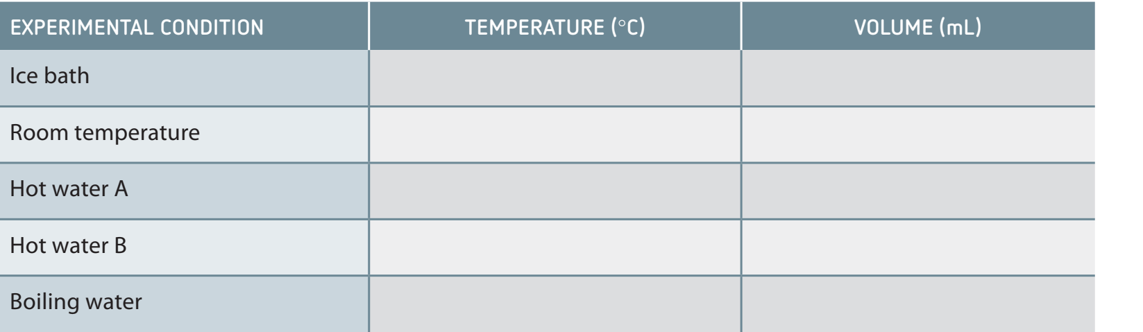 Sample ICE table with calculations.