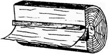 Veneer Production Suggestive Illustration