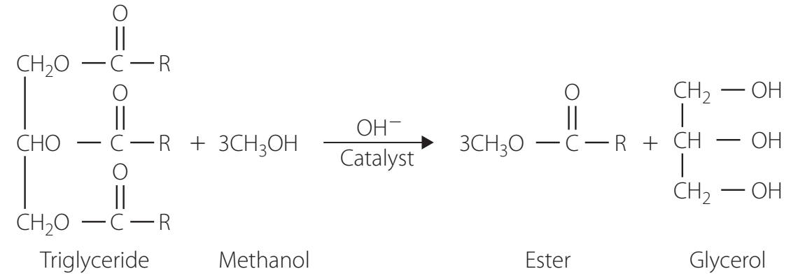 Example Chromatograms for Ester Analysis