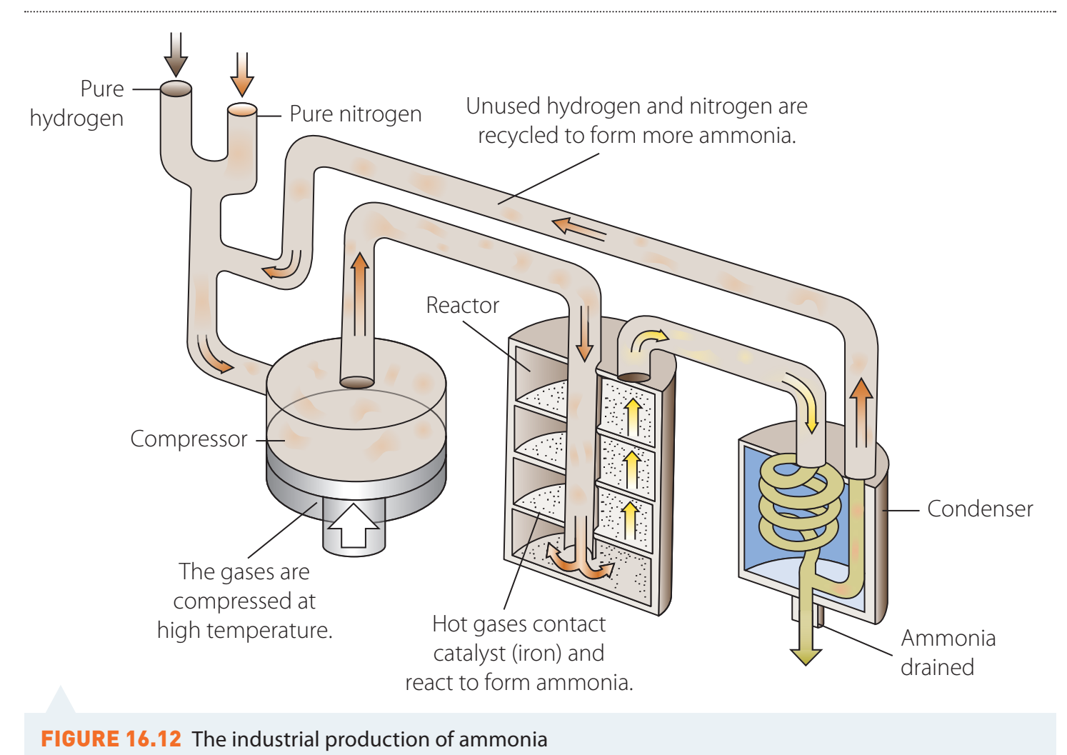 Ammonia formation and balancing
