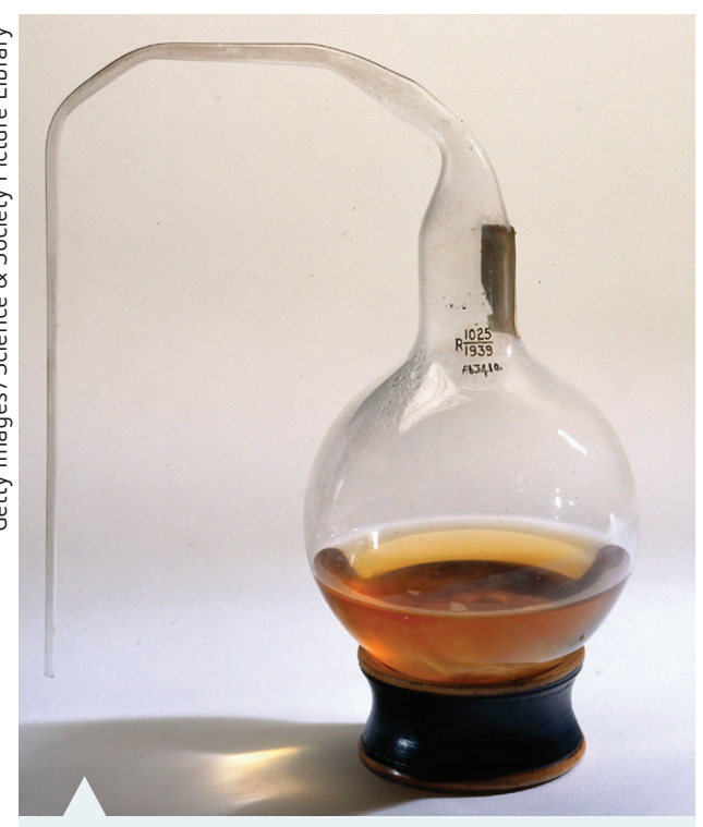 Depiction of the Swan-Neck Flask setup.