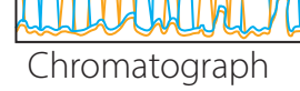 Setup and flow in gas chromatography (GC) and high-performance liquid chromatography (HPLC).