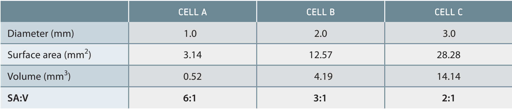 Visual showing different cell sizes and corresponding SA ratios.