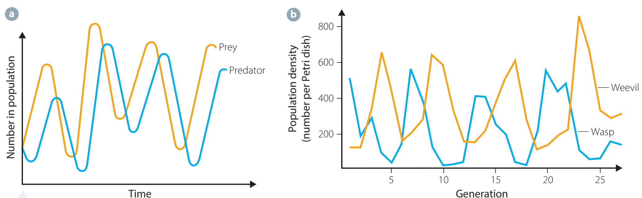 PVA Outcomes