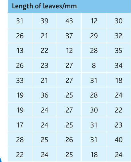 Table