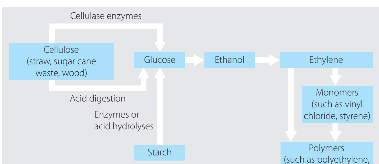 Flowchart illustrating lifecycle of synthetic polymers from production to disposal and their environmental impact