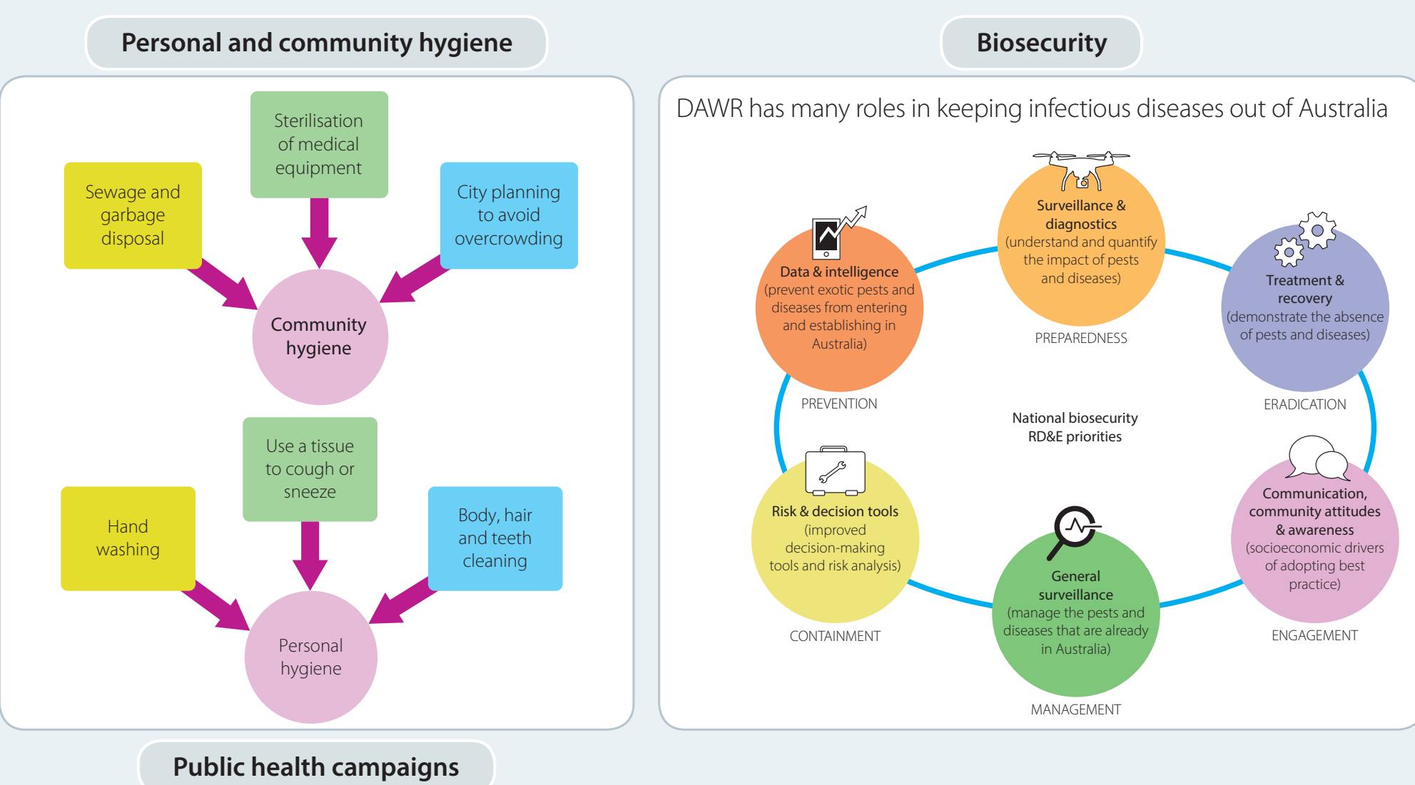 Fact box highlighting a real-world example explaining local sanitation improvement and disease control success.