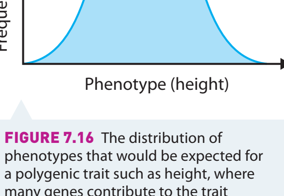 Genetic and Environmental Interaction