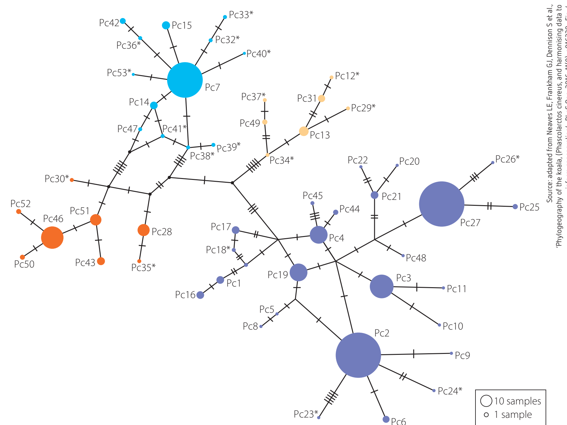 Biodiversity from replication errors.
