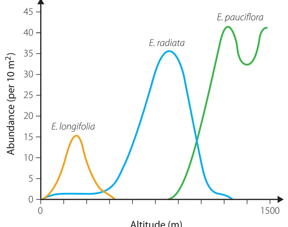 Chart illustrating how secondary data can be used to assess the resilience and vulnerability of Eucalyptus to pathogens.