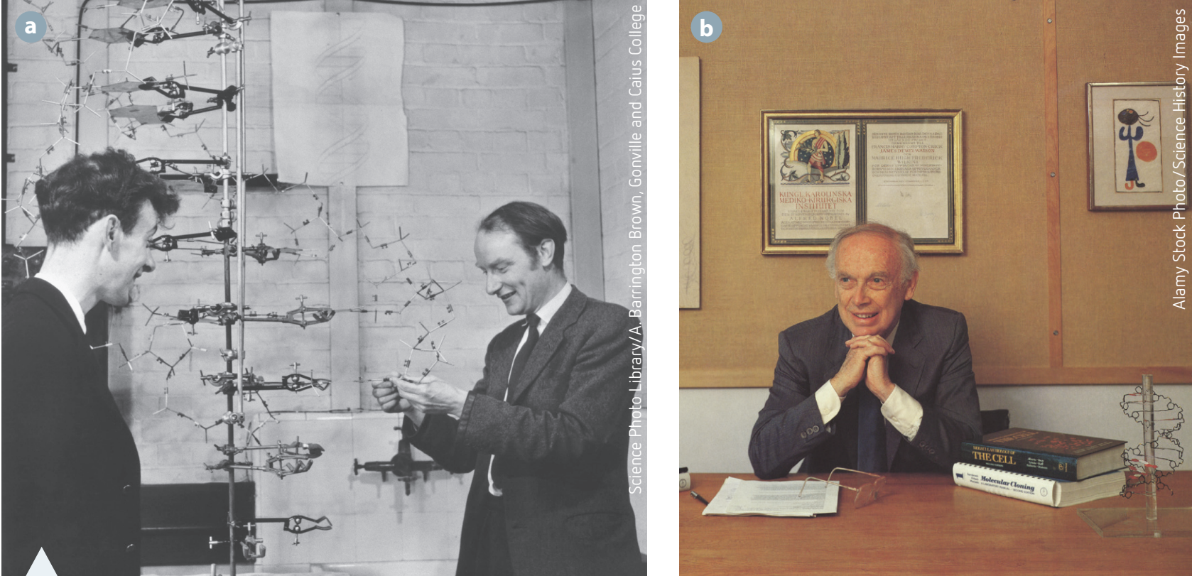 Images of Darwin and Wallace