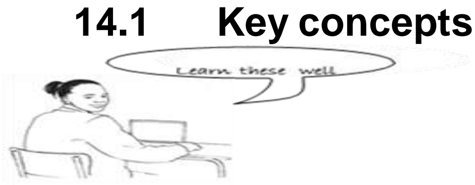 Diagram highlighting Vietnam's educational emphasis.