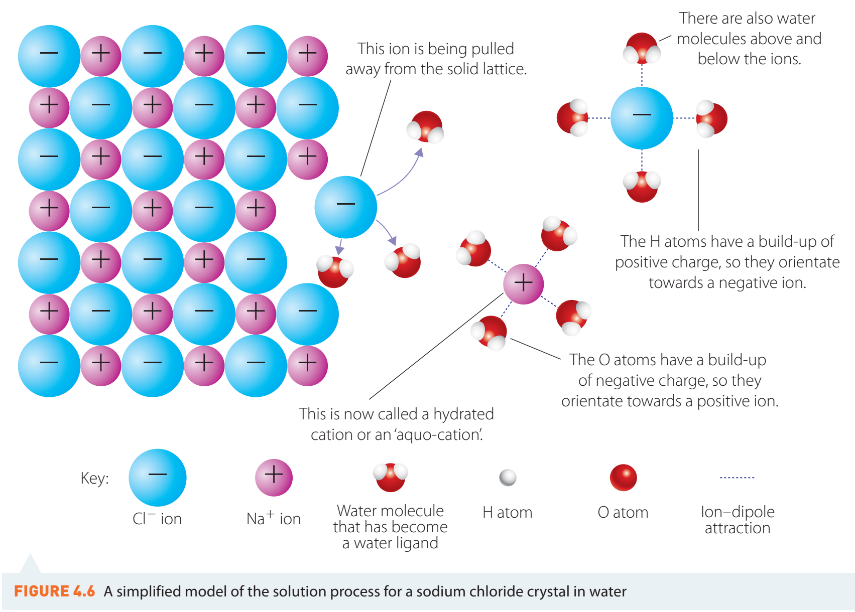 Diagram illustrating the dissolution of sugar and salt on a molecular level.