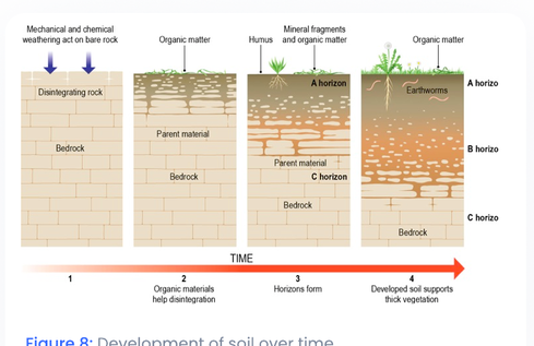 Development of soil over time
