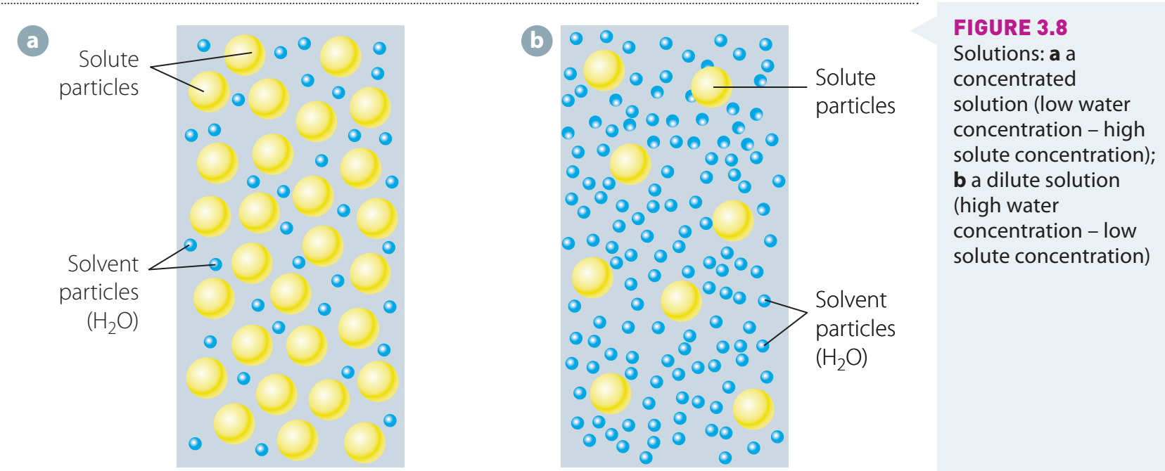 Concentration Annotated Image