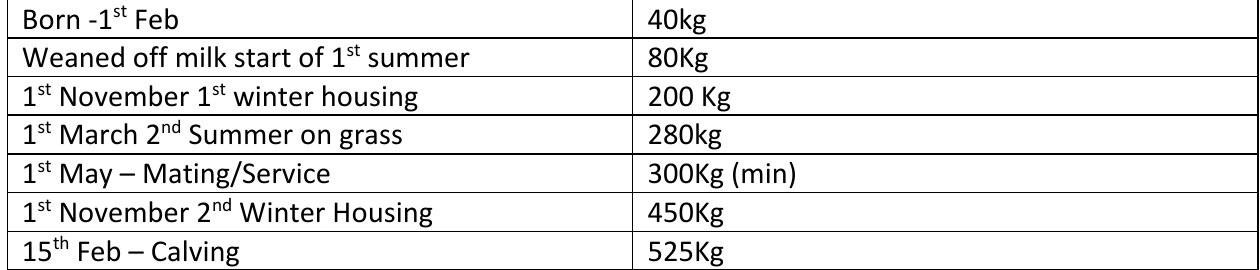 Table