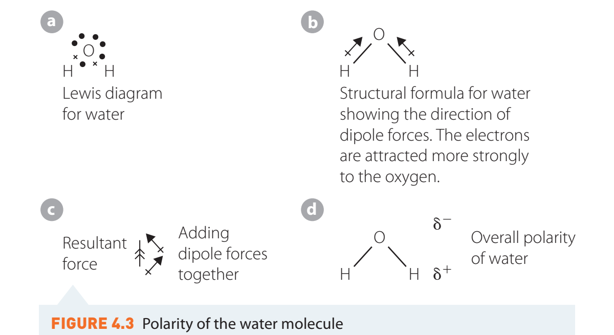 Lewis structure of water (H₂O) showing the bent shape and dipole moment direction.
