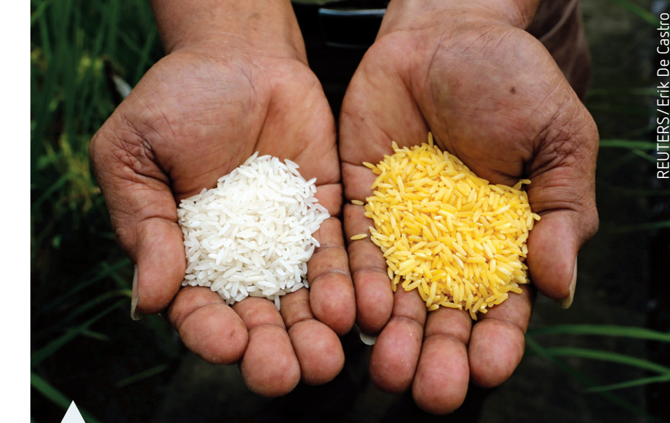 Biofortification and global nutritional needs