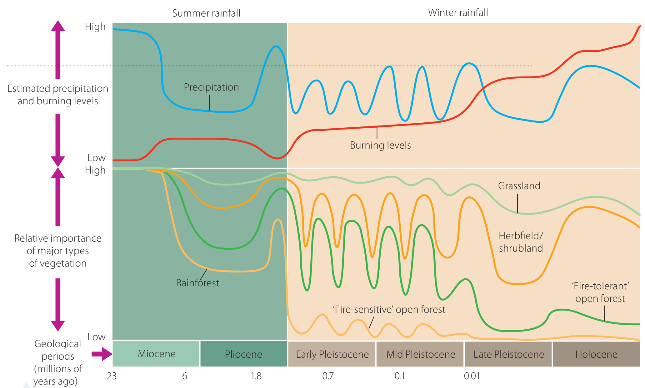 Infographics illustrating key achievements of environmental movements.