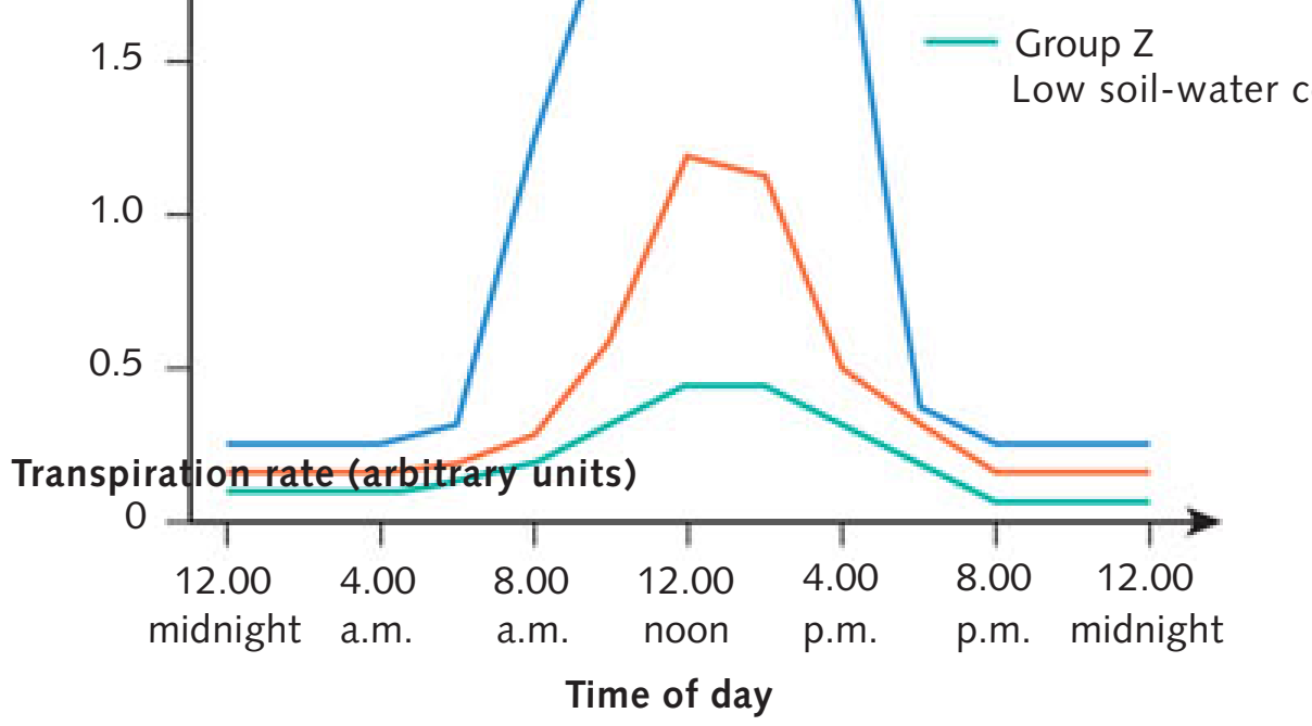 Graph of Transpiration Rate vs Environmental Factors