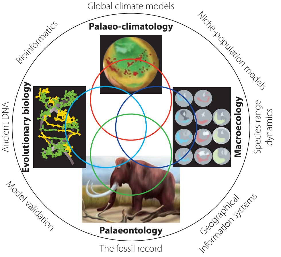Venn Diagram of Evolutionary Processes