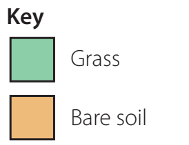 Visual representation comparing soil properties before and after restoration efforts.