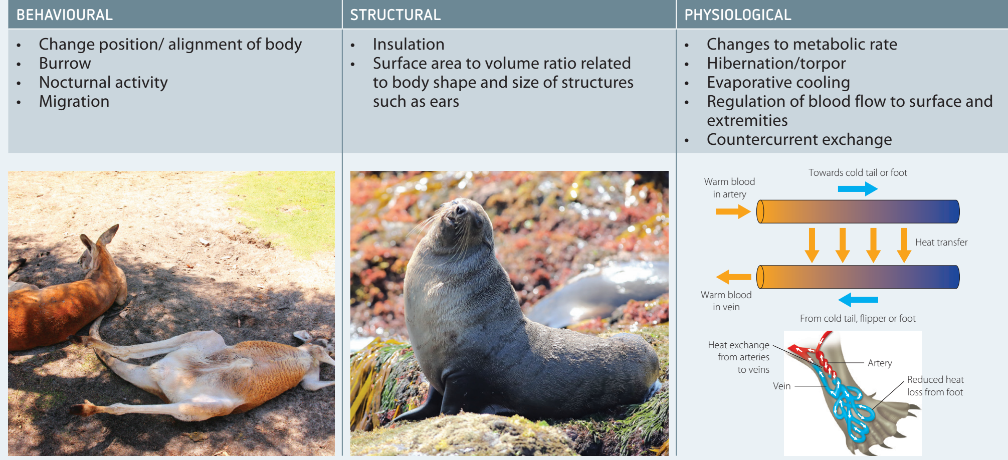 Environmental Triggers on Behavioural Adaptations
