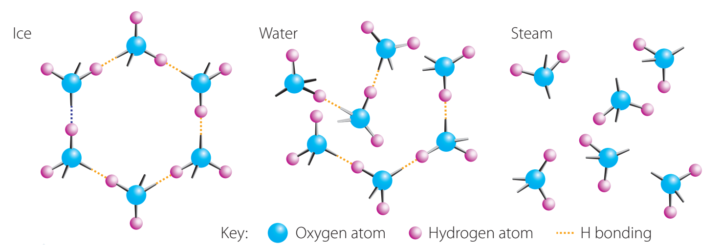 Diagram showing molecular arrangements in solid, liquid, and gas states (water as an example).