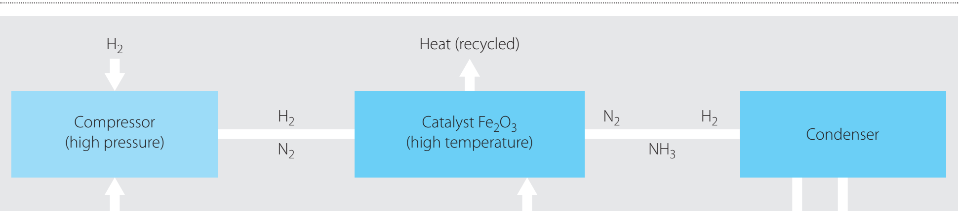 Haber Process Diagram