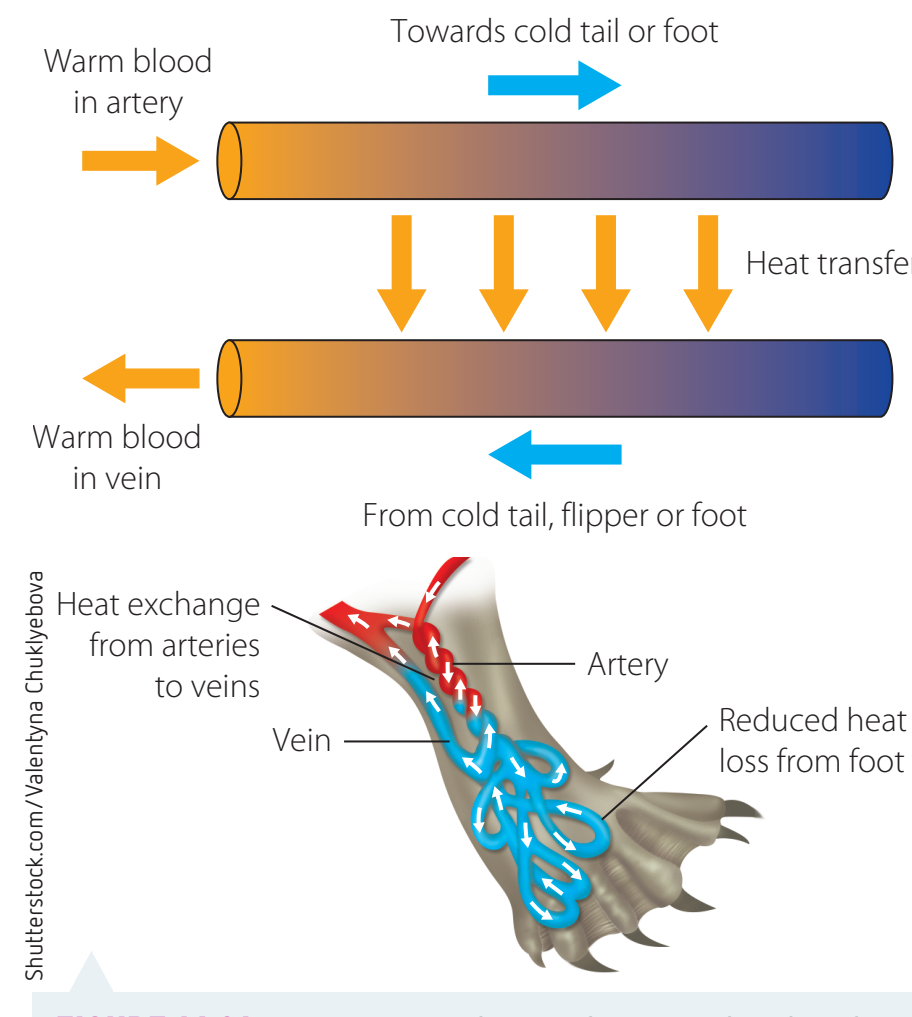 Experiment Setup
