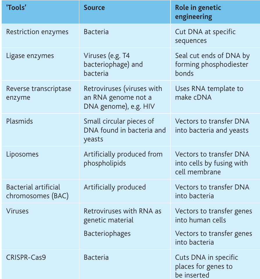Table