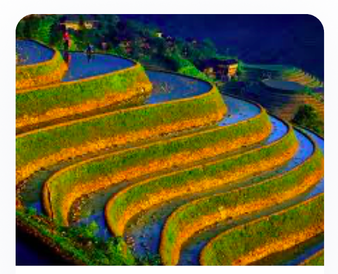 Figure 16: Terraces in China