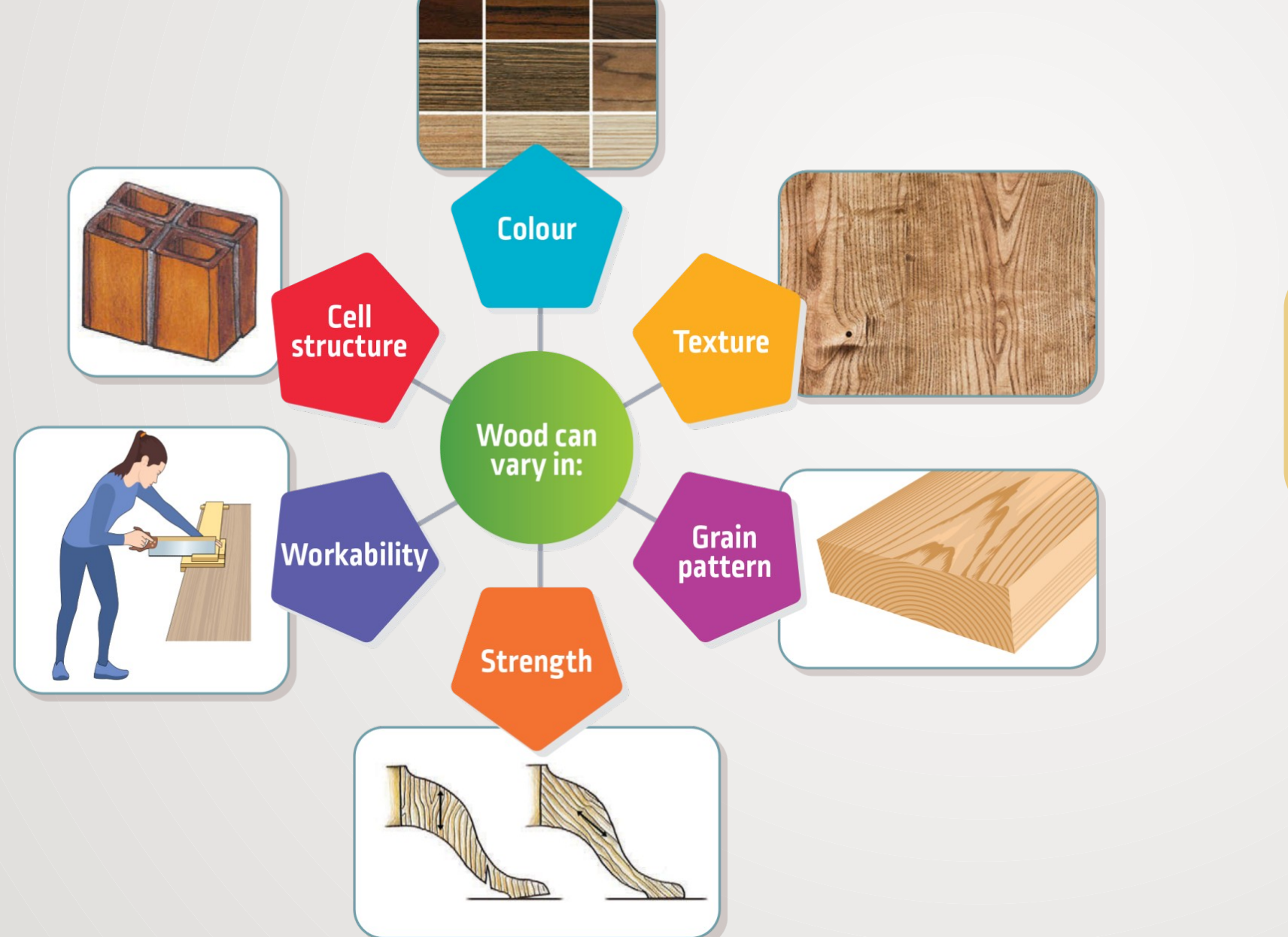 Wood Selection Tips