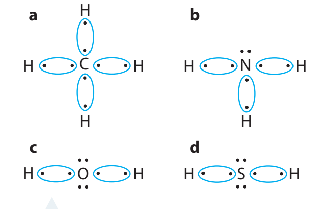 Diagram of molecules like HCl, H₂O, NH₃ showing electron distribution with δ+ and δ- notations.