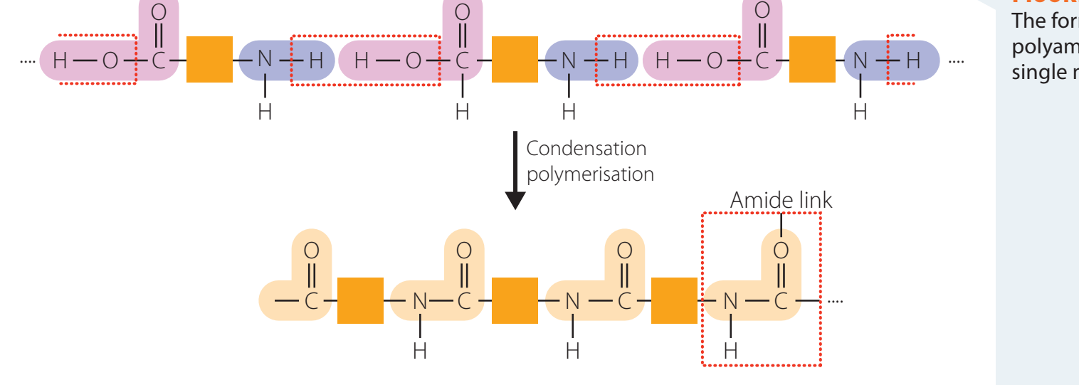 Structure of a natural polymer showcasing its complexity and varying monomers.