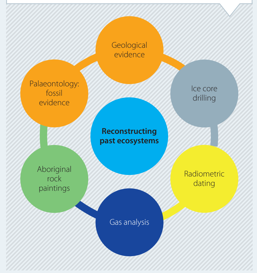 Overview diagram showing different methodologies used in ecosystem restoration such as terrestrial and aquatic methods.