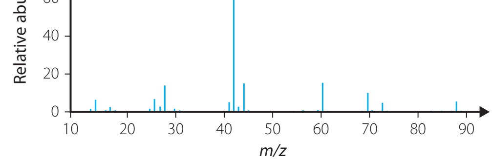 Graphical representation of a mass spectrometry readout with labeled ion peaks.