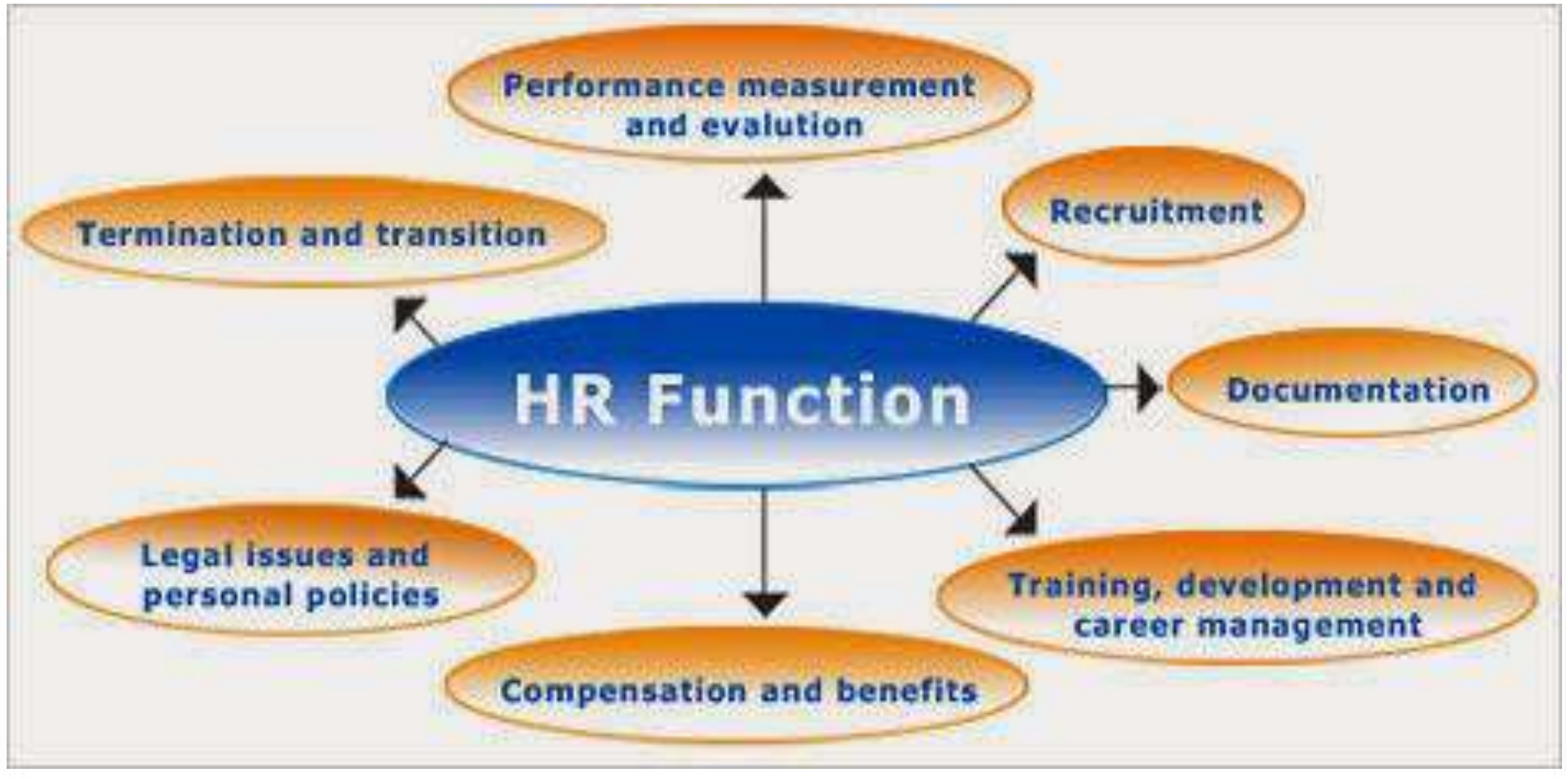 Influence of SDA on key HR functions