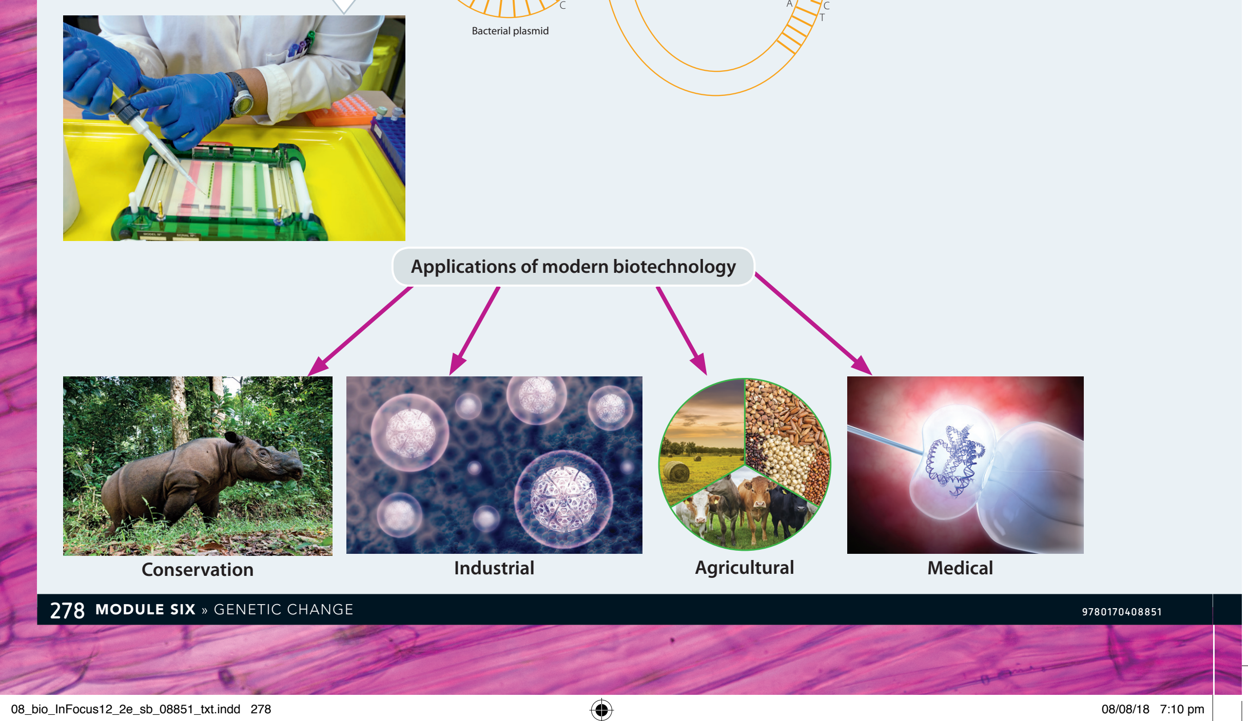 Infographic displaying various genomic and proteomic tools.