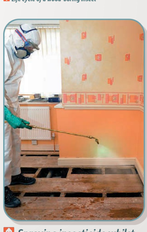 Brushing and Spraying