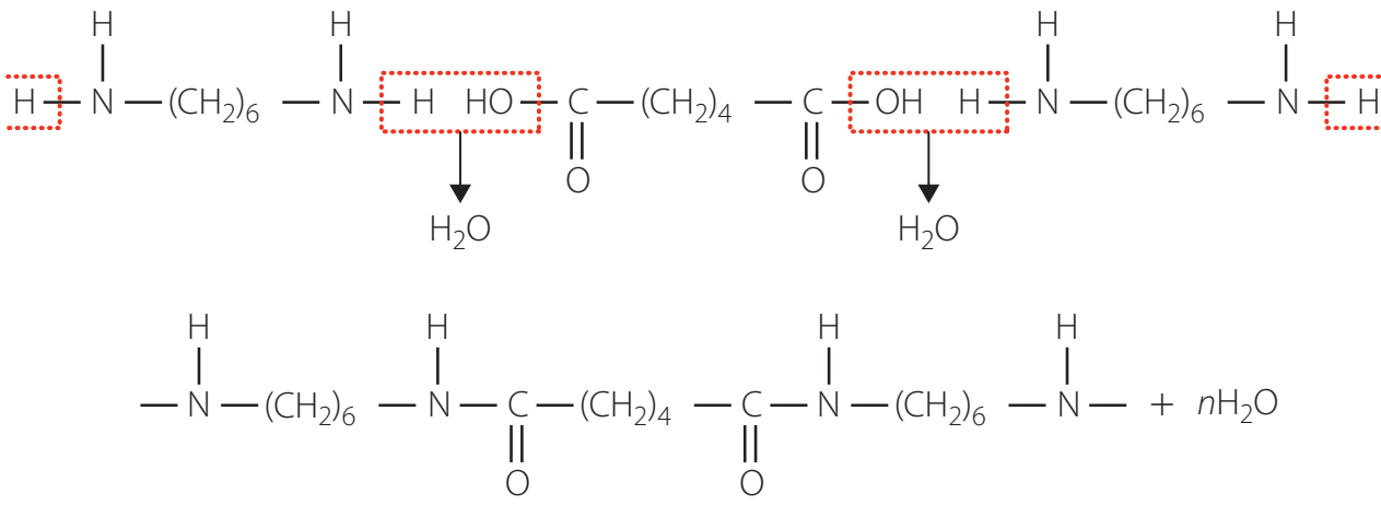 Diagram showing nylon synthesis