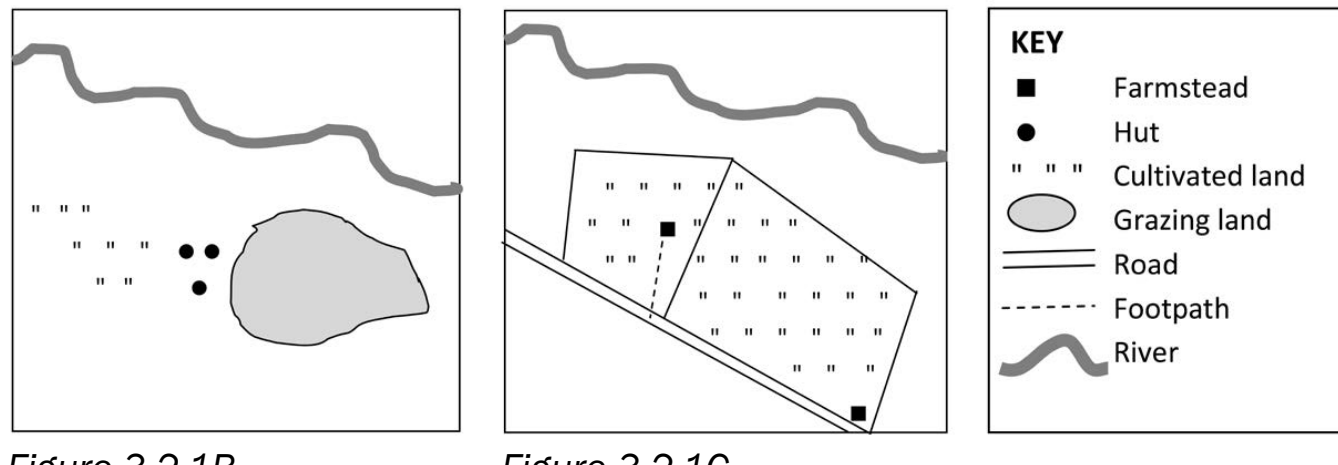 A diagram comparing natural and artificial environments featured in the story, highlighting their symbolic roles.