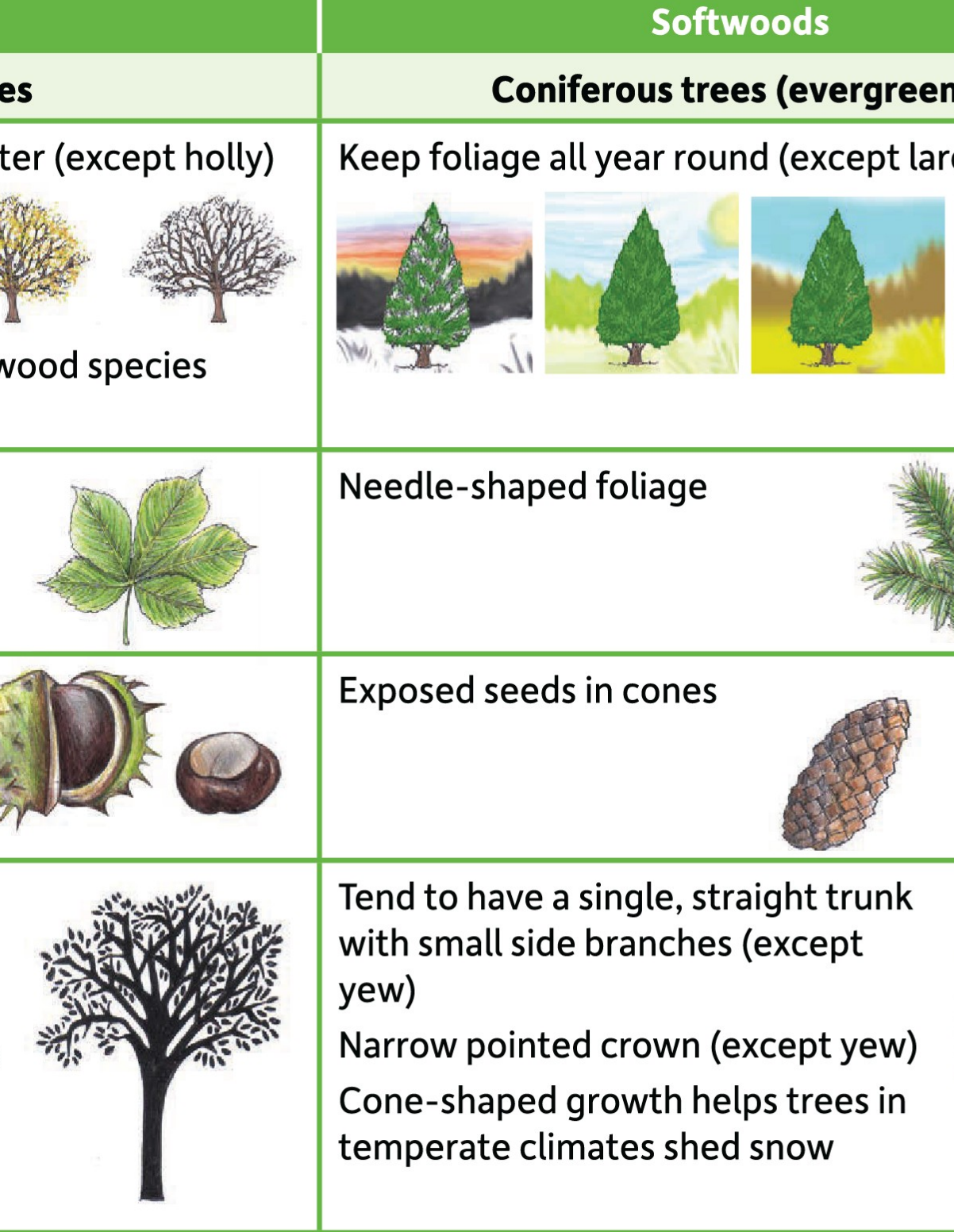 Comparison Chart