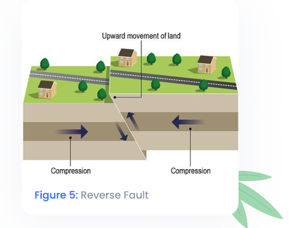 Figure 5: Reverse Fault