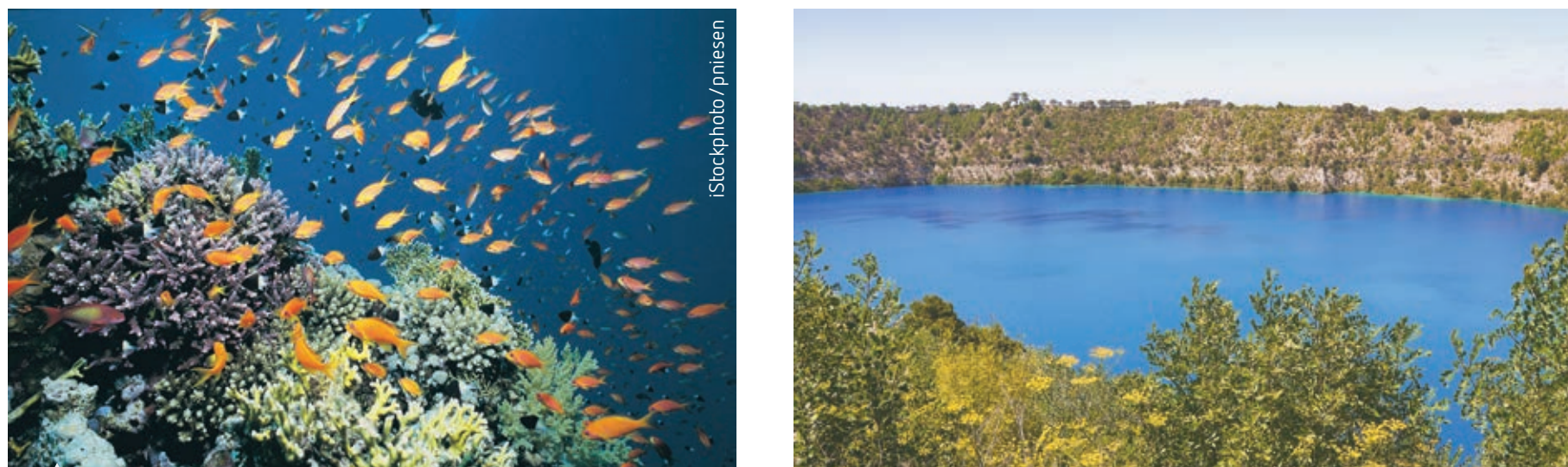 Diagram highlighting the difference between natural and man-made attractions, such as beaches versus theme parks, and associated tourist activities.