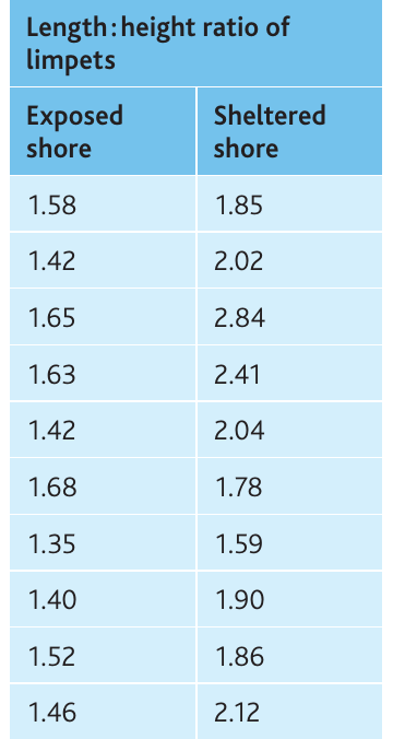 Table