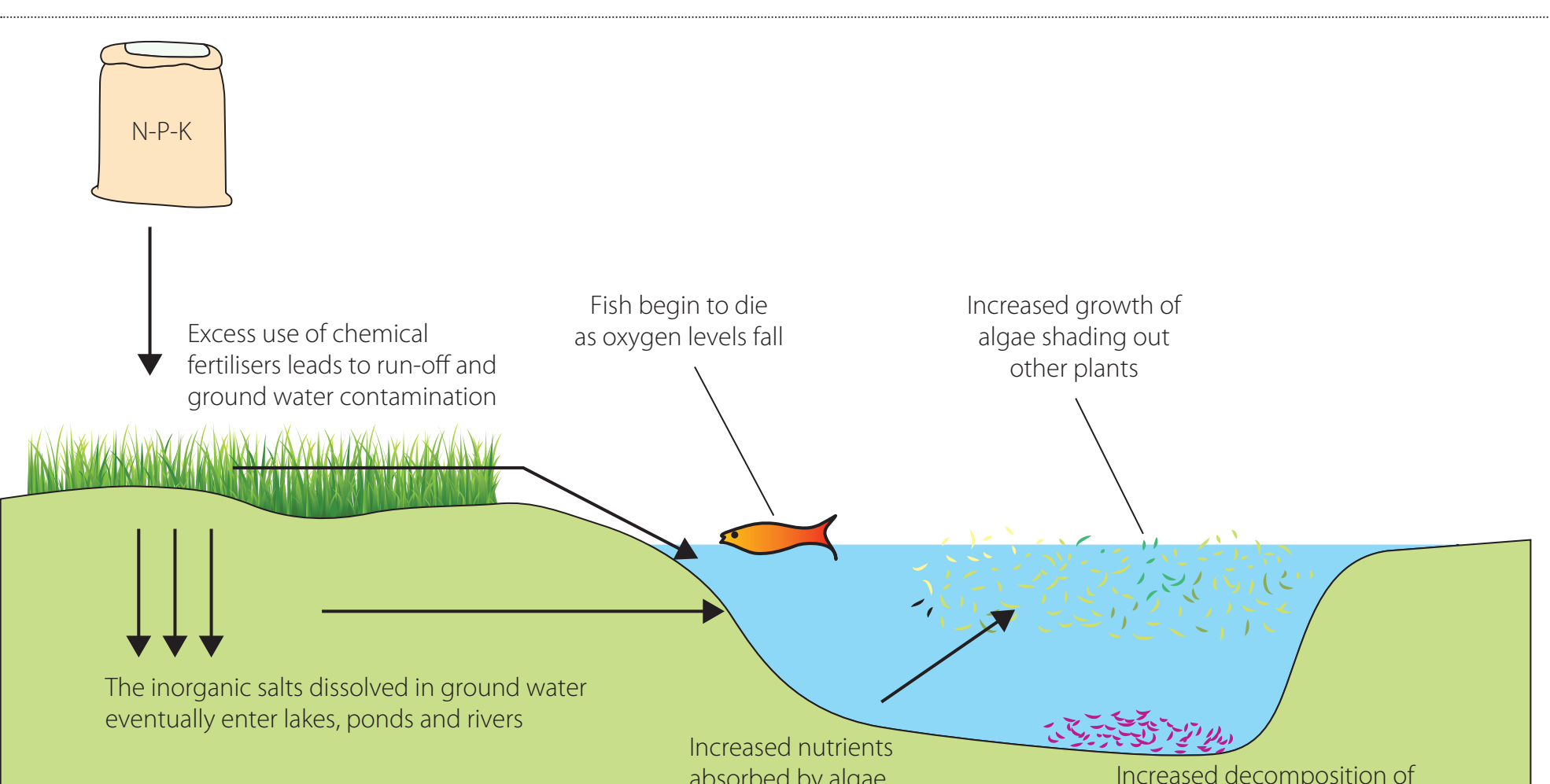 A diagram illustrating water pollution sources and impact cycles.