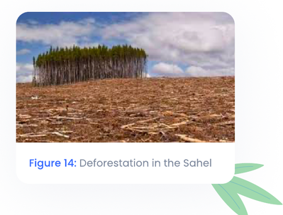 Soil Conservation Diagram