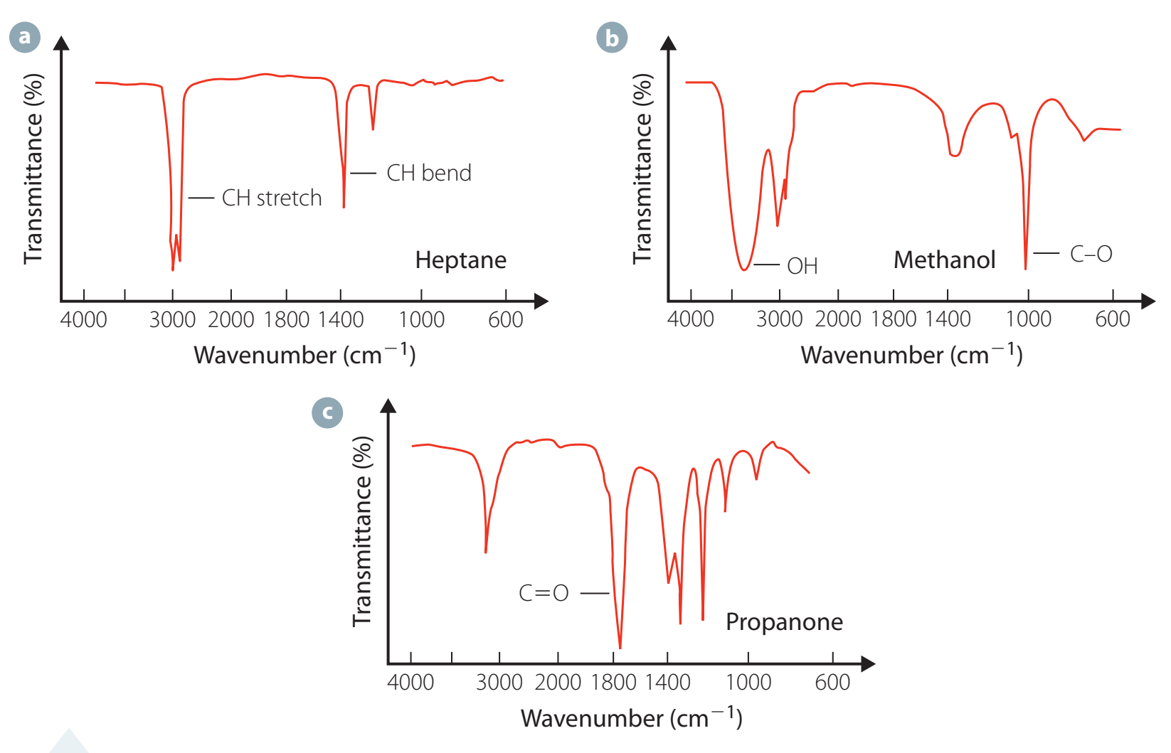 Spectral Signatures of Common Esters in IR Spectroscopy