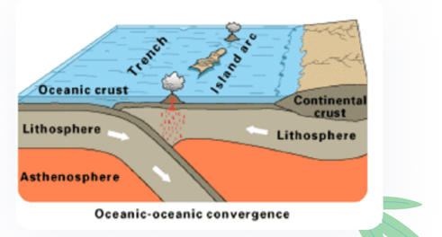 Oceanic-oceanic convergence diagram